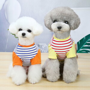  hbOEFA X}C {[_[ TVc   ̕ DogBaby hbOxBr[ hM[h DOGGYLAND t    킢 jR XgCv Jt   