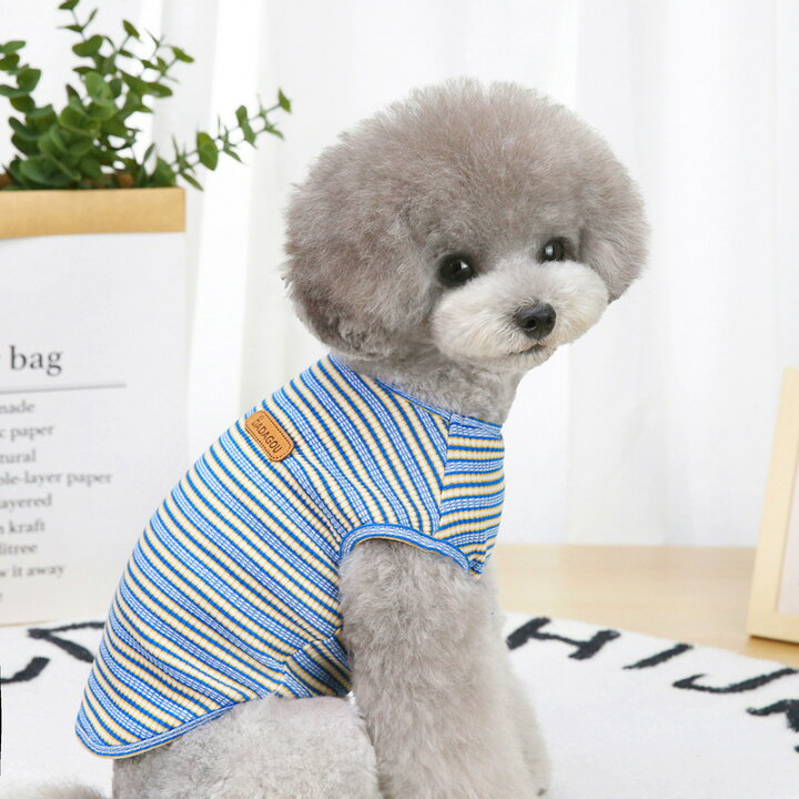 楽天市場 犬服 ドッグウェア Tシャツ 犬 服 犬の服 Dogbaby ドッグベービー ドギーランド Doggyland 春夏 夏 送料無料 おしゃれ かわいい チワワ ミニチュアダックス トイプードル ダックス 着回し 薄手 部屋着 抜け毛対策 タータンストライプ 大きめタグ ワンポイント
