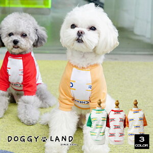 1000�~�|�b�L�� ���� �h�b�O�E�F�A T�V���c �� �� ���̕� Cheepet �`�[�y�b�g�h�M�[�����h DOGGYLAND �J���t�� �t�� �� �������� ������� ���킢�� �u�����h �`���� �~�j�`���A�_�b�N�X �g�C�v�[�h