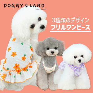  hbOEFA   ̕ DogBaby hbOxr[ hM[h DOGGYLAND t   킢 uh ` gCv[h _bNX ybg  Ck ts[X 