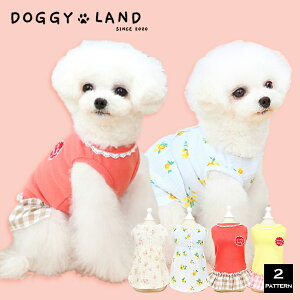 1000�~�|�b�L�� ���� �h�b�O�E�F�A �� �� ���̕� DogBaby �h�b�O�x�r�[ �h�M�[�����h DOGGYLAND �t�� �������� ������� ���킢�� �X�J�[�g �L���~�\�[�� �y�b�g�� ���� �C�k �����s�[�X �t���� ��