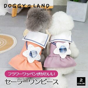  hbOEFA Z[[J[s[X XJ[g t[byt  H ~   ̕ hM[ DOGGYLAND   킢 ybg