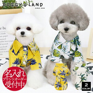  hbOEFA An   ̕ DogBaby hM[h DOGGYLAND t    킢 ` ~j`A_bNX gCv[h _bNX 肩 U  Vc V 