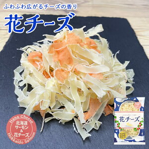  ԃ`[Y kCT[ VH kC b   ܂ َq ɍ n ̓ hV̓