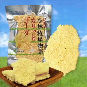 kC іqꕨ JbƃS[_   `[Y ܂  kC i yY Mtg n yY