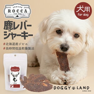 p ROCCA GAhC o[W[L[ 20g  g[c   ybgt[h hbNt[h WrG V ^ ^ ybgpi Y Y W[L[