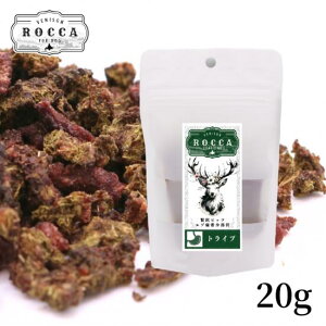 p ROCCA GAhC gCv~[grbc 20g    ybgt[h hbNt[h WrG V ^ ^ ybgpi Y Y W[L[