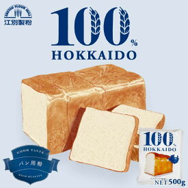 100％HOKKAIDO パン用粉 500g 江別製粉 北海道 小麦粉 国産 パン 大人気 お土産 ギフト プレゼント 手作り 北海道産小麦 パン作り用粉バレンタイン