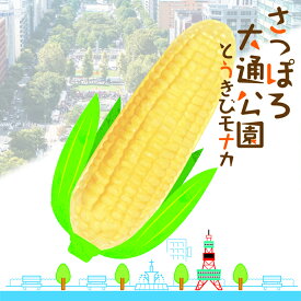 夏ギフト 長沼あいす さっぽろ大通公園とうきびモナカ 1本入 送料無料 送料込み アイスモナカ 日高昆布醤油使用 北海道産生乳100%使用 焼きとうきび風味 アイスミルク 北海道 お土産 ギフト 贈り物 母の日 父の日 敬老の日 お中元