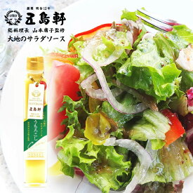 函館 五島軒 大地のサラダソース とうもろこし 200ml ドレッシング 野菜ソース お祝い お中元 プレゼント ギフト