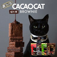 CACAOCAT 切れ端BROWNIE 各60g入 送料無料 DADACA ダーク ミルク 抹茶 チェリー ブラウニー 切れ端 カカ…