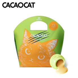 CACAOCAT 夕張メロン 5入 チョコレート 北海道 お土産 手土産 人気 DADACA カカオキャット 猫 ねこ ネコ 一口サイズ バレンタイン