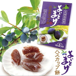 三星 よいとまけハスカップ餅 100g 送料無料 北海道 よいとまけ お餅 お菓子 はすかっぷ ご当地 お土産 ギフト 贈り物 プレゼント