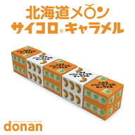 道南食品 北海道メロンサイコロキャラメル10粒 送料無料 北海道産 リニューアル 進化 地域限定 大人気 定…