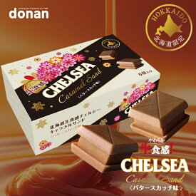道南食品 北海道生食感チェルシー キャラメルサンド バタースカッチ味 6入 北海道産 ご当地 キャラメル 地域限定 大人気 定番 お土産 手土産 ギフト プレゼント 贈り物 クリスマス バレンタイン ホワイトデー
