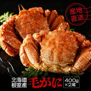 kC Y ъI 400g 2 уKj т  Jj I  kCY CN CY v[g Mtg O j p   Ε ̓ ̓ hV̓