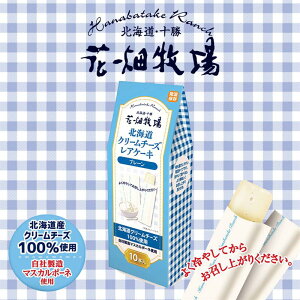 Ԕq kCN[`[YAP[L v[ 10{  kCY N[`[Y P[L  n yY Mtg v[g 蕨