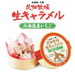 Ԕq L  8 kCY XC[c 葢 Ƃ낯 v[g 蕨 yY yY Mtg t[YhC o^C
