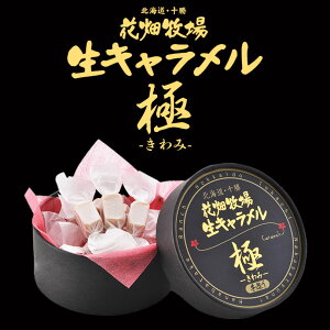 Ԕq L -- 12 kCY XC[c 葢 Ƃ낯 v[g 蕨 yY yY Mtg v~A }kJn`~co^C