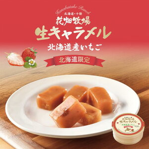 Ԕq L hC  64g   kC L XC[c  َq n yY Mtg v[g 蕨