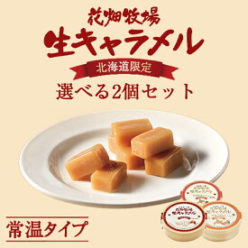 花畑牧場 生キャラメル ドライ 64g 選べる2個セット 送料無料 送料込み レターパック便 北海道 お菓子 プレーン メロン いちご 苺 スイーツ 手造り とろける プレゼント 贈り物 お土産 手土産 ギフト バレンタイン ホワイトデー