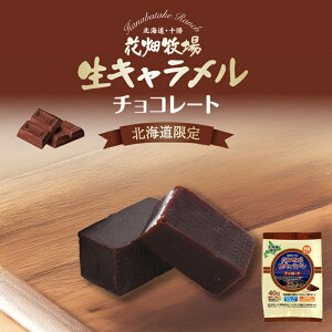 花畑牧場 生キャラメル 常温タイプ チョコレート 40g 送料無料 袋タイプ 北海道限定 手造り キャラメル とろける ご当地 お土産 ギフト プレゼント 贈り物 お菓子 おやつ