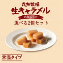 花畑牧場 生キャラメル ドライ 64g 選べる 2個セット 送料無料 送料込み レターパック便 北海道 お菓子 プレーン メロ…