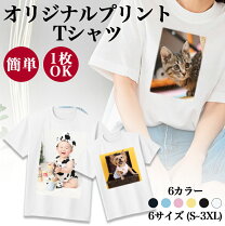 楽天市場】フルーツオブザルーム ヘビーの通販