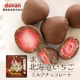 donan まるっと北海道いちごミルクチョコレート 北海道 いちご ミルクチョコレート お土産 手土産 プレゼント お菓子バレンタイン