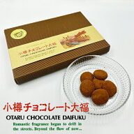 ひだの 小樽チョコレート大福 20個入 北海道 おたる 大福 お土産 ご当地 ギフト 贈り物 プレゼント バレ…