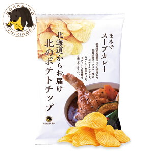 北のポテトチップス スープカレー味 100g 12袋入 送料無料 錦豊珠 ポテチ 北海道 グルメ じゃがいも お菓子 おやつ スナック菓子 ご当地 お土産 贈り物 ギフト