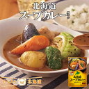 北海道くばら 北海道スープカレー用スープ スパイス カレー 野菜 中辛 贈り物 プレゼント 人気 ご家庭で 簡単 万能 お土産 ギフト ご当地