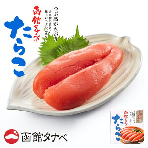 ك^ix 炱 120g kCY  Ⓚ n { ʊi  CN т̂  ^z Mtg v[g yY lCo^C