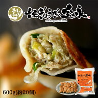 宝永 手造りぎょうざ 600g 送料無料 北海道 餃子 ぎょうざ 宝永の餃子 宝永餃子 冷凍 焼くだけ 簡単 お土…