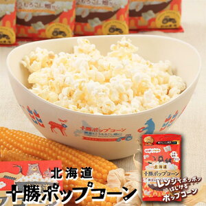 kC \|bvR[ ܉ 56g  Oc_Y |bvR[ dqWp ȒP َq  n yY Mtg v[g