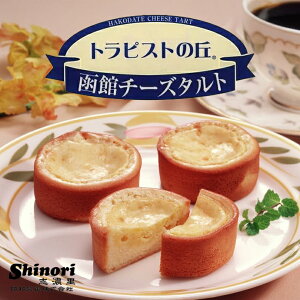 a gsXg̋uك`[Y^g6 kCY  N[`[Y yY Mtg v[g َqo^C