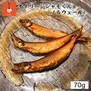 Lb` IC[VV 3C  kC bs  ܂  ICЂ n yY 蕨 Mtg v[g