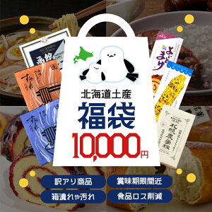 フードロス 食品ロス 訳あり 賞味期限間近 福袋 送料無料 北海道 お菓子 詰合せ 期間限定 プレゼント ギフト 在庫処分 送料込 人気 お取り寄せ 食品 お土産 定番 ご当地 ラーメン カレー スー