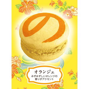 }J̃ IWF 2   ꂨyY yY O َq Ăَq }J }J̃ `R[g v[g Mtg 蕨