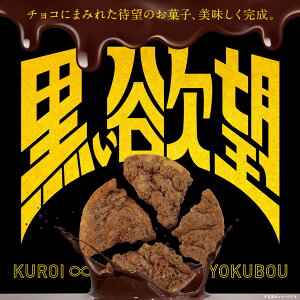 黒い欲望 39g 送料無料 ファッションキャンディ 塩せんべい ミルクチョコレート 割れせんべい 焼菓子 チャック付 スタンドパック【夏季冷蔵】
