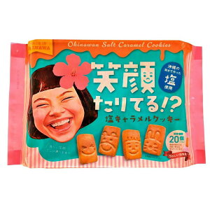 i Ί炽ĂIH LNbL[ 20  C VR  t@~[pbN VFA ΂܂ yY Mtg n v[g  ĉَq