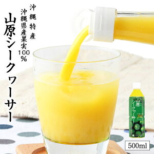 RV[N[T[ 500ml  ꌧY V[N[T[ ʏ`100% t Xg[g RV[N[T[ r^~C V[N[T[ mr`