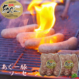 あぐー豚ソーセージ 3本入×2P 【贈答用化粧箱入り】 送料無料 沖縄県在来豚 グルメ お取り寄せグルメ 国産 あぐー豚 御歳暮 お中元 ギフト プレゼント 贈り物 産地直送