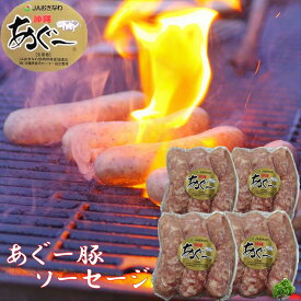あぐー豚ソーセージ 3本入×4P 【贈答用化粧箱入り】 送料無料 沖縄県在来豚 グルメ お取り寄せグルメ 国産 あぐー豚 御歳暮 お中元 ギフト プレゼント 贈り物 産地直送