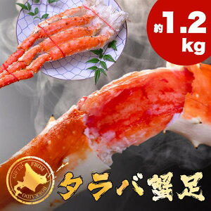 ^or 1.2kg VAY CYi Ⓚ ΂  ^oKj ^o I Jj 蕨 Mtg Ε 䒆 蕨 j j a Ε 䒆 O