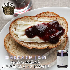 lCi m[Xt@[XgbN nXJbvW 140g  kC \[X Bɂ AgVAj p [Og ACXN[  yY yY 蕨 Mtg o