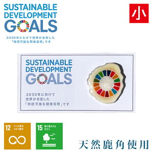SDGs sobW  VR p R nhCh kC I[ 2030 G]VJ A jZt UNICEF sustain developmentof goals  \ J ڕW [hXNGA m[XhU[ I