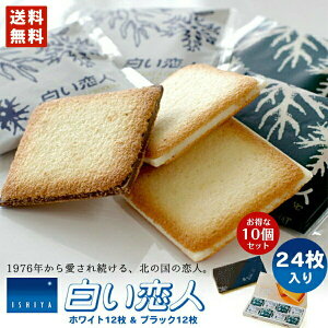 yΕMtgW100~OFFzl 24  ~bNX zCg12 ubN12 Ή o^C |Cg kC lC OhV NbL[ zCg`R[g 