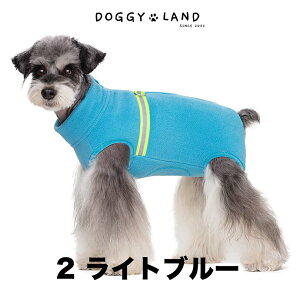  hbOEFA  ˃C Ȃ t[X@Jo[I[ 10J[ DO [hO Wbp[  ӂӂ H~ ybgEFA  h n hM[h DOGG