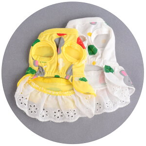  hbOEFA   vg ^Ngbv L~\[  Z[  t  m  ybg